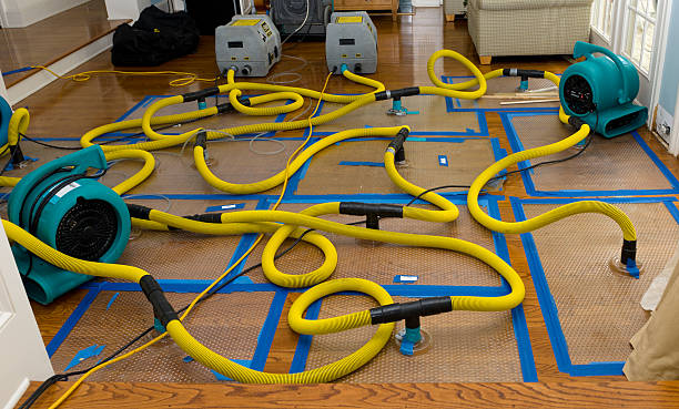 Professional Storm Water Damage Restoration technician working in Kearny, AZ